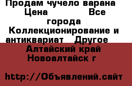 Продам чучело варана. › Цена ­ 15 000 - Все города Коллекционирование и антиквариат » Другое   . Алтайский край,Новоалтайск г.